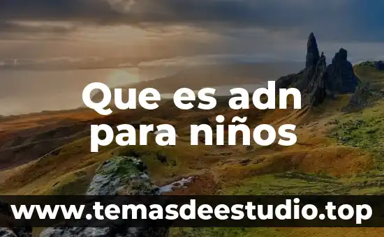 Que es el adn en el celular 8 Que es adn para niños