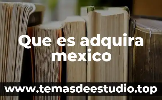 Que es un monumento en vilormetrica de mexico 8 Que es adquira mexico