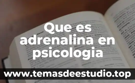 Que es adrenalina en psicologia