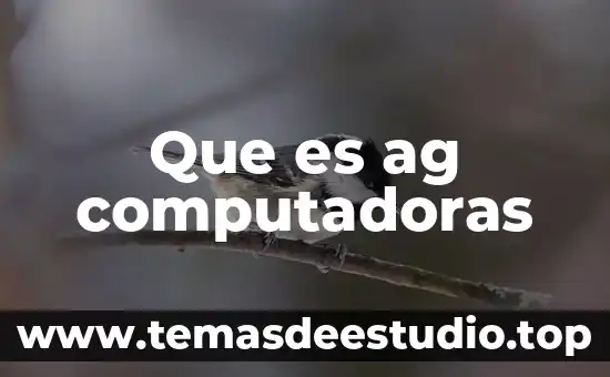 Que es ag computadoras
