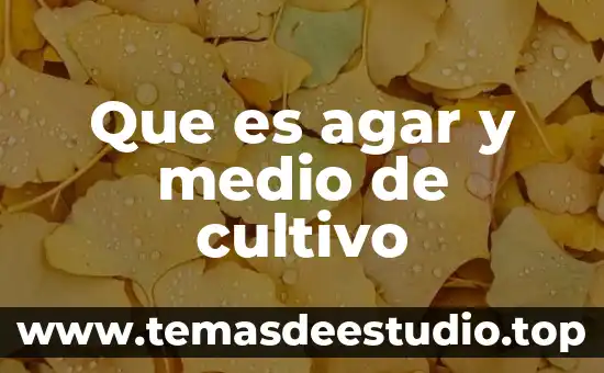 Que es la cultura y cultivo 8 Que es agar y medio de cultivo