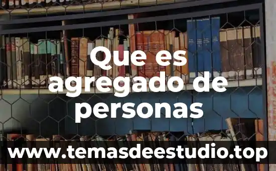 Que es agregado de personas