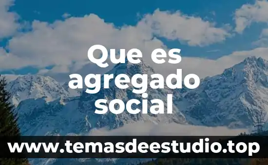 Que es agregado social
