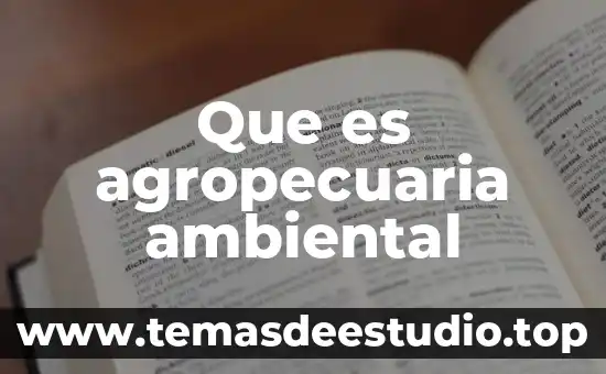 Que es la interpretacion en la realidad social 6 Que es agropecuaria ambiental