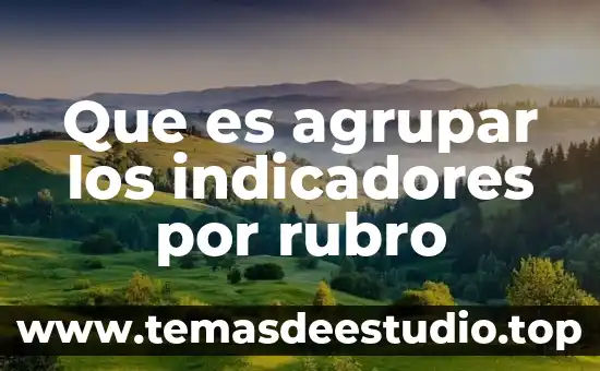 Que es rubro de efectivo 4 Que es agrupar los indicadores por rubro