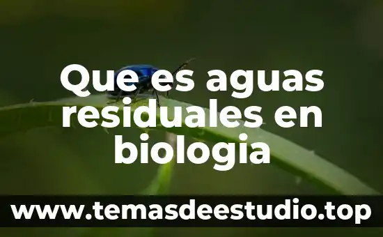 Qué es una planta tratadora de aguas negras o residuales 6 Que es aguas residuales en biologia