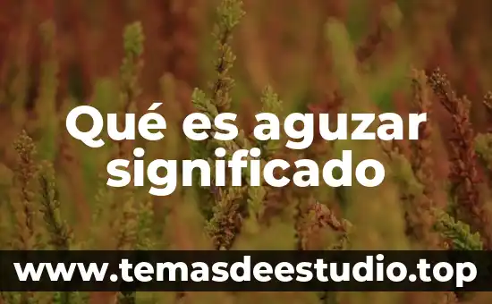 Que es la fe significado 5 Qué es aguzar significado