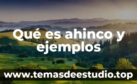 Que es indagar significado 5 Qué es ahinco y ejemplos