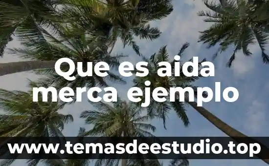 Que es un marco referencial ejemplo 3 Que es aida merca ejemplo