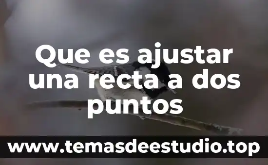 Error de medición por puntos de apoyo que es 8 Que es ajustar una recta a dos puntos
