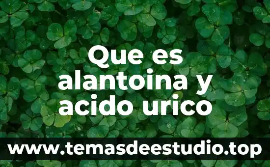 Qué es el ácido úrico en las manos plantas medicinales 6 Que es alantoina y acido urico