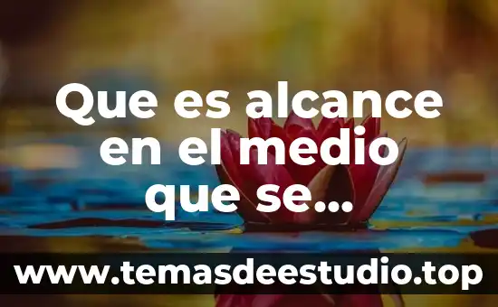 Ynbestigar que es un medio sosia 4 Que es alcance en el medio que se comercializa