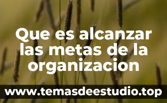 Que es la deteccion de falla computadora 4 Que es alcanzar las metas de la organizacion