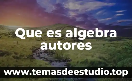Que es una encuesta concepto de autores 8 Que es algebra autores