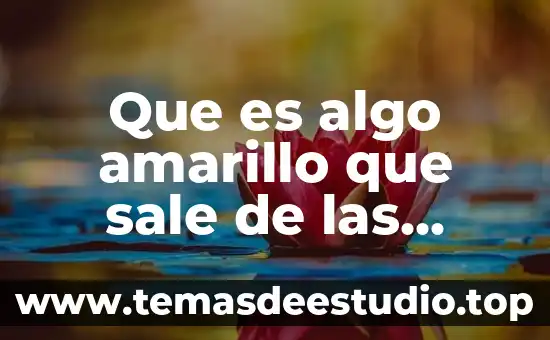 Que es mejor oro blanco o oro amarillo 6 Que es algo amarillo que sale de las heridas