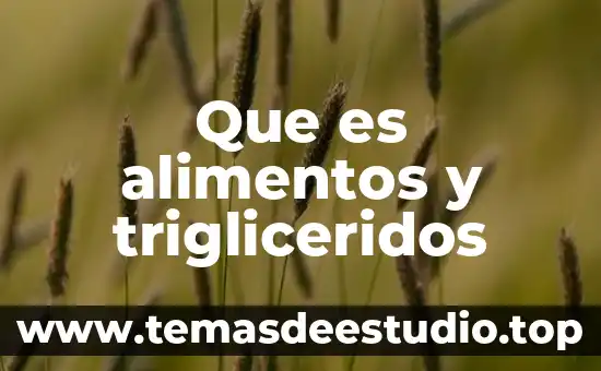 Qué es la proteína de los alimentos 3 Que es alimentos y trigliceridos
