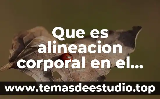 Que es saneamiento de un cuerpo de agua 4 Que es alineacion corporal en el cuerpo humano
