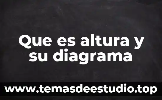 Que es un diagrama de un vector 4 Que es altura y su diagrama