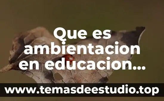 Que es el movimiento dinamico en fisica 4 Que es ambientacion en educacion fisica