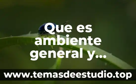 Que es homeostasis en ambiente y sustentabilidad 8 Que es ambiente general y ambiente de tarea