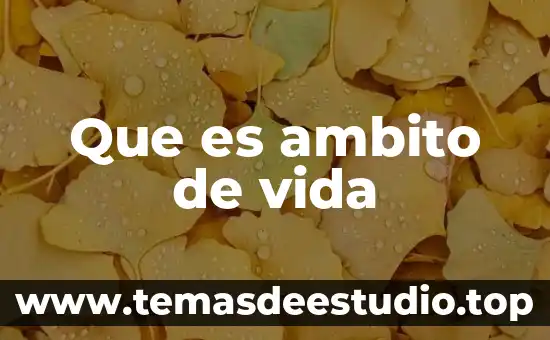 Qué es la filosofía en nuestra vida 8 Que es ambito de vida