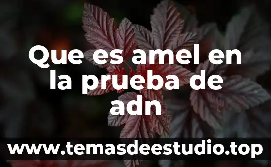 Que es el adn en el celular 3 Que es amel en la prueba de adn