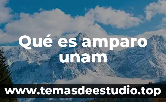 Que es un amparo directo adhesivo 3 Qué es amparo unam