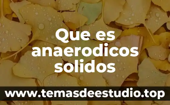 Que es anaerodicos solidos