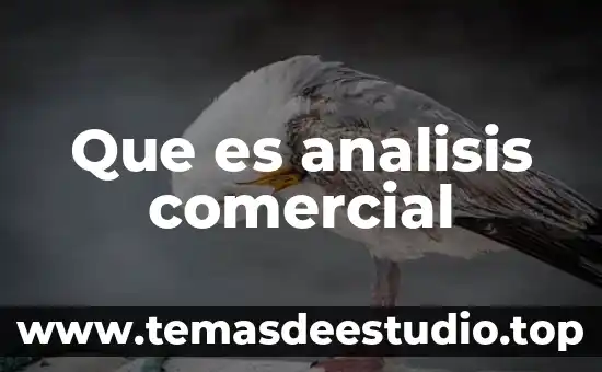 Que es el analisis situacional segun kotler 5 Que es analisis comercial