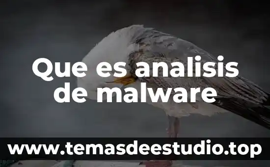 Conclusión de que es análisis 3 Que es analisis de malware