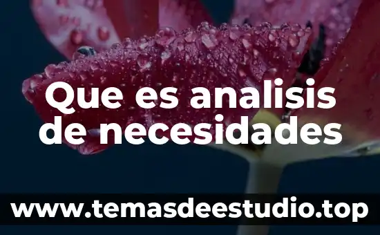 Que es un programa de necesidades arquitectonico 4 Que es analisis de necesidades