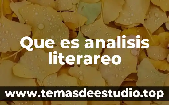 Que es analisis del problema programacion 7 Que es analisis literareo