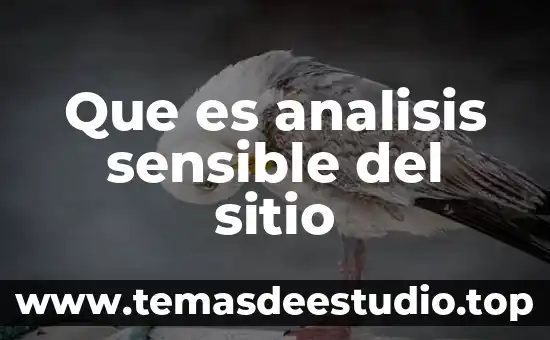 Que es un sitio web amp 3 Que es analisis sensible del sitio