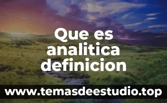 Que es analitica definicion
