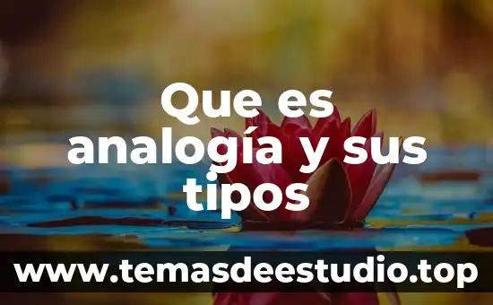 Qué es la analogía en la lógica 6 Que es analogía y sus tipos