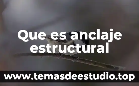 Que es anclaje estructural