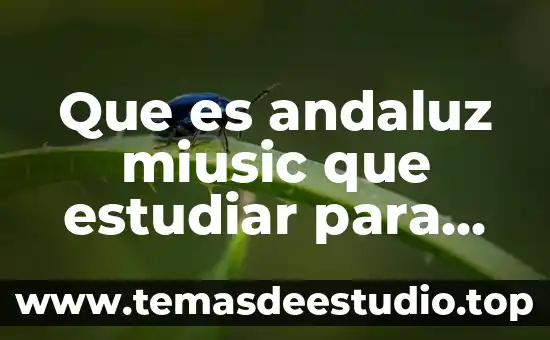 Que es lo que significa estudiar filosofia 6 Que es andaluz miusic que estudiar para trabajara ahi
