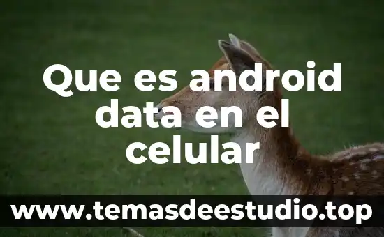 Que es socrata open data 8 Que es android data en el celular