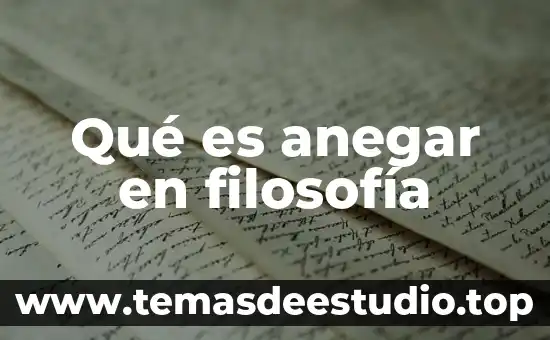 Qué es la filosofía cartesiana y su duda 6 Qué es anegar en filosofía