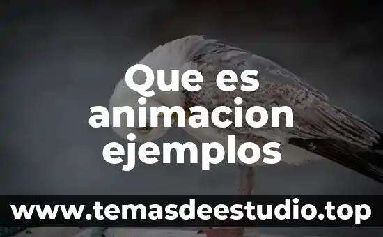 Que es animacion ejemplos
