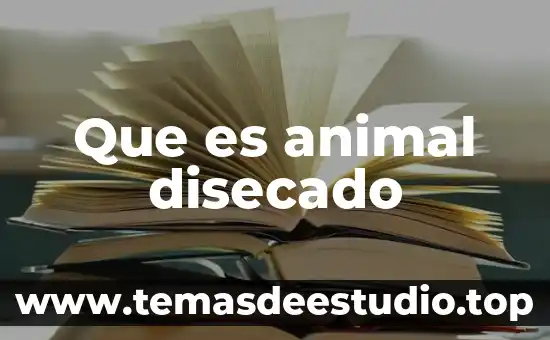 Que es drosophila y que animal es 4 Que es animal disecado