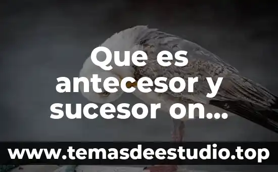 Que es la arquitectura de procesador 3 Que es antecesor y sucesor on ejemplos