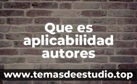 Autores explican que es un weblog 6 Que es aplicabilidad autores