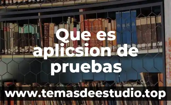 Que es aplicsion de pruebas