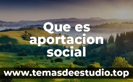 Que es aportacion social