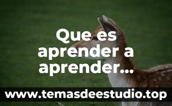 Que es macros en excel ejemplos 5 Que es aprender a aprender ejemplos