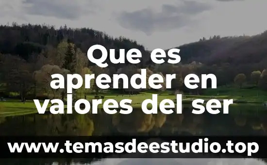 Que es ser kakaroto 6 Que es aprender en valores del ser