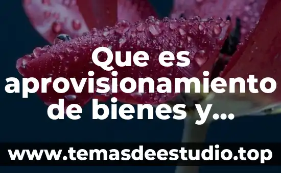 Qué es un documento de consumo de servicios 7 Que es aprovisionamiento de bienes y servicios