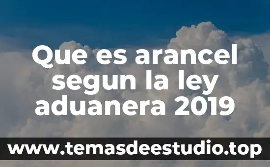 Que es la actividad aduanera 4 Que es arancel segun la ley aduanera 2019