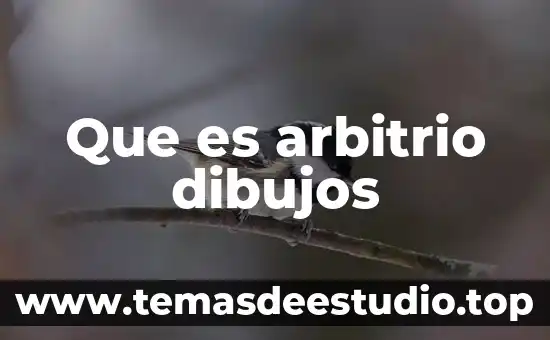 Que es el sol dibujos 4 Que es arbitrio dibujos